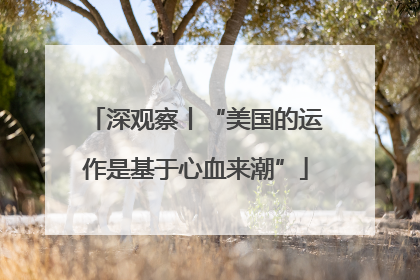 深观察丨“美国的运作是基于心血来潮”