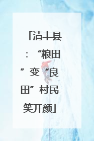 清丰县：“粮田”变“良田”村民笑开颜