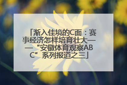 渐入佳境的C面：赛事经济怎样培育壮大——“安徽体育观察ABC”系列报道之三