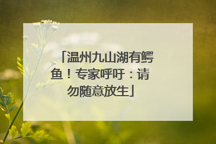 温州九山湖有鳄鱼！专家呼吁：请勿随意放生