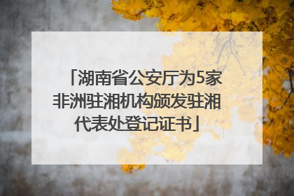 湖南省公安厅为5家非洲驻湘机构颁发驻湘代表处登记证书