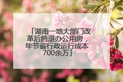 湖南一地大部门改革后腾退办公用房，年节省行政运行成本700余万