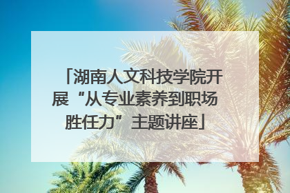 湖南人文科技学院开展“从专业素养到职场胜任力”主题讲座