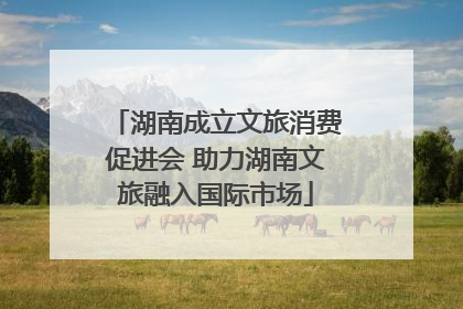 湖南成立文旅消费促进会 助力湖南文旅融入国际市场