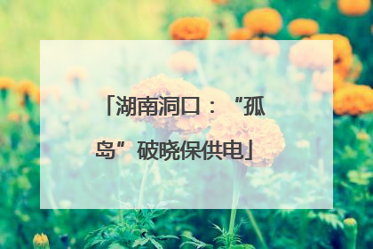 湖南洞口：“孤岛”破晓保供电