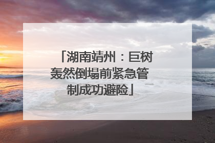 湖南靖州：巨树轰然倒塌前紧急管制成功避险