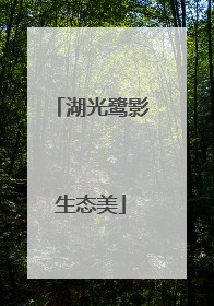 湖光鹭影生态美