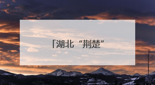 湖北“荆楚”人形机器人公司落户武昌