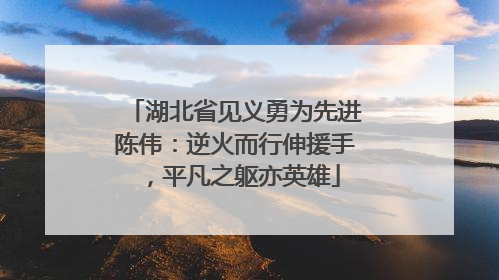 湖北省见义勇为先进陈伟：逆火而行伸援手，平凡之躯亦英雄