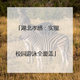 湖北孝感：实现校园游泳全覆盖