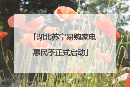 湖北苏宁易购家电惠民季正式启动