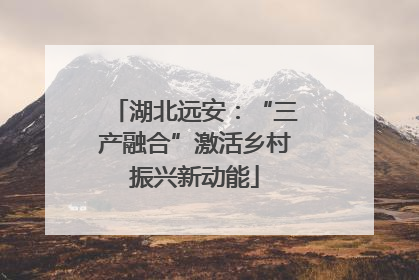 湖北远安：“三产融合”激活乡村振兴新动能