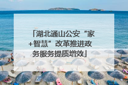 湖北通山公安“家+智慧”改革推进政务服务提质增效