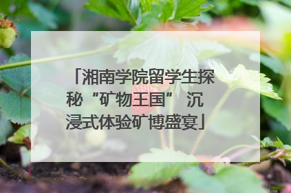 湘南学院留学生探秘“矿物王国” 沉浸式体验矿博盛宴