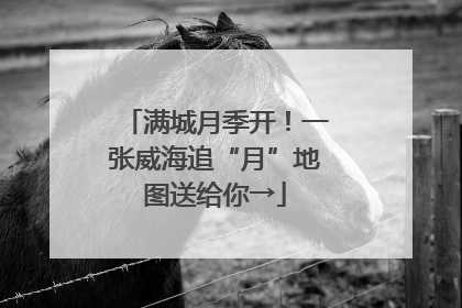 满城月季开！一张威海追“月”地图送给你→