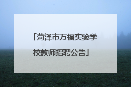 菏泽市万福实验学校教师招聘公告