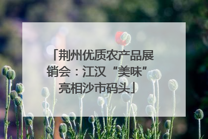荆州优质农产品展销会：江汉“美味”亮相沙市码头
