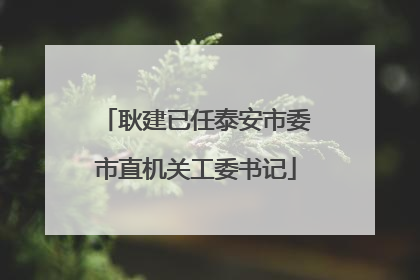 耿建已任泰安市委市直机关工委书记