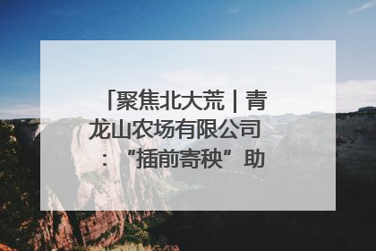 聚焦北大荒｜青龙山农场有限公司：“插前寄秧”助力农业节本增效