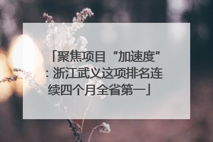 聚焦项目“加速度”：浙江武义这项排名连续四个月全省第一