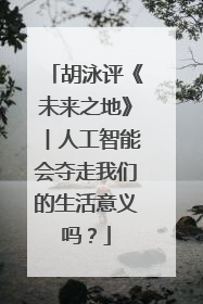 胡泳评《未来之地》︱人工智能会夺走我们的生活意义吗？