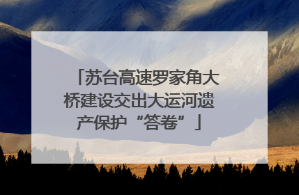 苏台高速罗家角大桥建设交出大运河遗产保护“答卷”