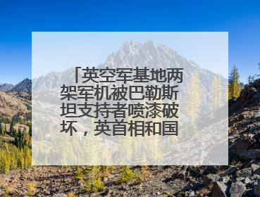 英空军基地两架军机被巴勒斯坦支持者喷漆破坏，英首相和国防部发声