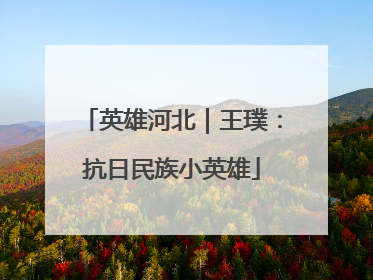 英雄河北｜王璞：抗日民族小英雄