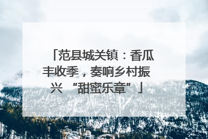 范县城关镇：香瓜丰收季，奏响乡村振兴 “甜蜜乐章”