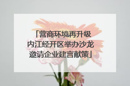 营商环境再升级 内江经开区举办沙龙邀请企业建言献策
