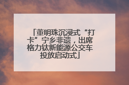 董明珠沉浸式“打卡”宁乡非遗，出席格力钛新能源公交车投放启动式