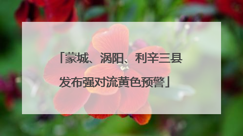 蒙城、涡阳、利辛三县发布强对流黄色预警