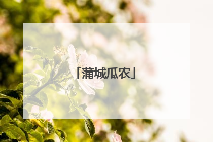 蒲城瓜农