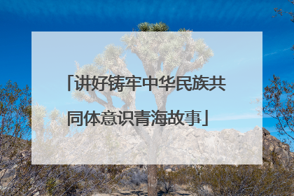 讲好铸牢中华民族共同体意识青海故事