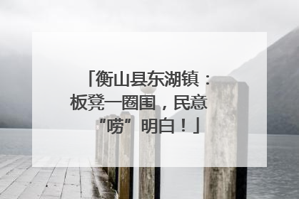 衡山县东湖镇：板凳一圈围，民意“唠”明白！