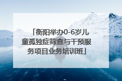 衡阳举办0-6岁儿童孤独症筛查与干预服务项目业务培训班