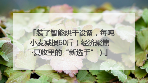 装了智能烘干设备，每吨小麦减损60斤（经济聚焦·夏收里的“新选手”）