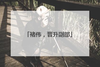 褚伟，晋升副部