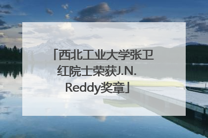西北工业大学张卫红院士荣获J.N.Reddy奖章