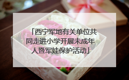 西宁军地有关单位共同走进小学开展未成年人暨军娃保护活动