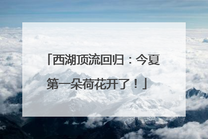 西湖顶流回归：今夏第一朵荷花开了！