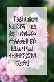 见证藏湘兄弟情：西藏山南特色产品亮相第四届中国-非洲经贸博览会