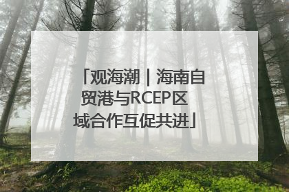 观海潮｜海南自贸港与RCEP区域合作互促共进
