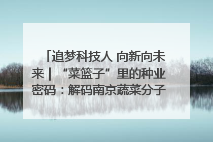 追梦科技人 向新向未来｜“菜篮子”里的种业密码：解码南京蔬菜分子育种的创新之路