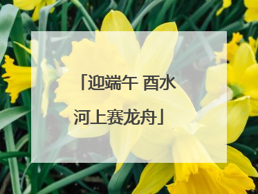 迎端午 酉水河上赛龙舟