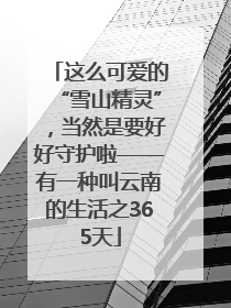这么可爱的“雪山精灵”，当然是要好好守护啦——有一种叫云南的生活之365天