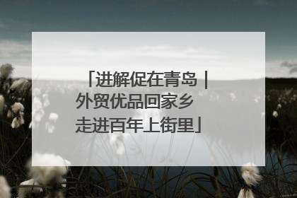 进解促在青岛｜外贸优品回家乡 走进百年上街里