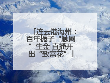 连云港海州：百年栀子“触网”生金 直播开出“致富花”