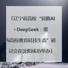 辽宁省高校“昇腾AI+DeepSeek：重构高校教育科技生态”研讨会在沈阳成功举办