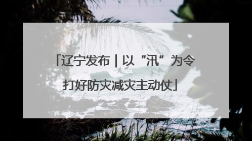 辽宁发布｜以“汛”为令 打好防灾减灾主动仗